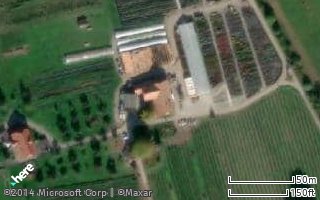 Standort von Glauser’s Bio-Baumschule in Noflen