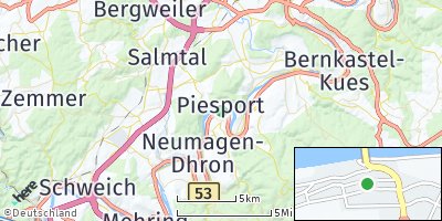 Google Map of Piesport