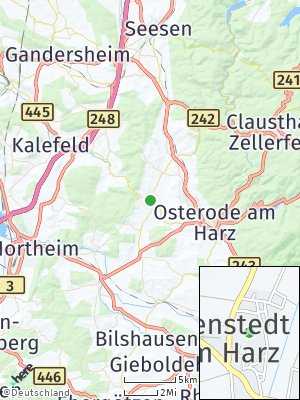 Here Map of Nienstedt am Harz