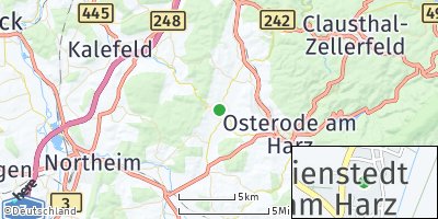 Google Map of Nienstedt am Harz