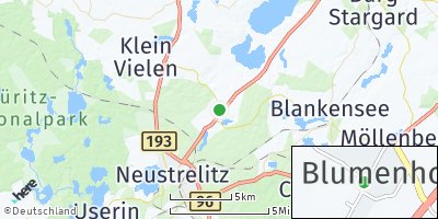 Google Map of Blumenholz